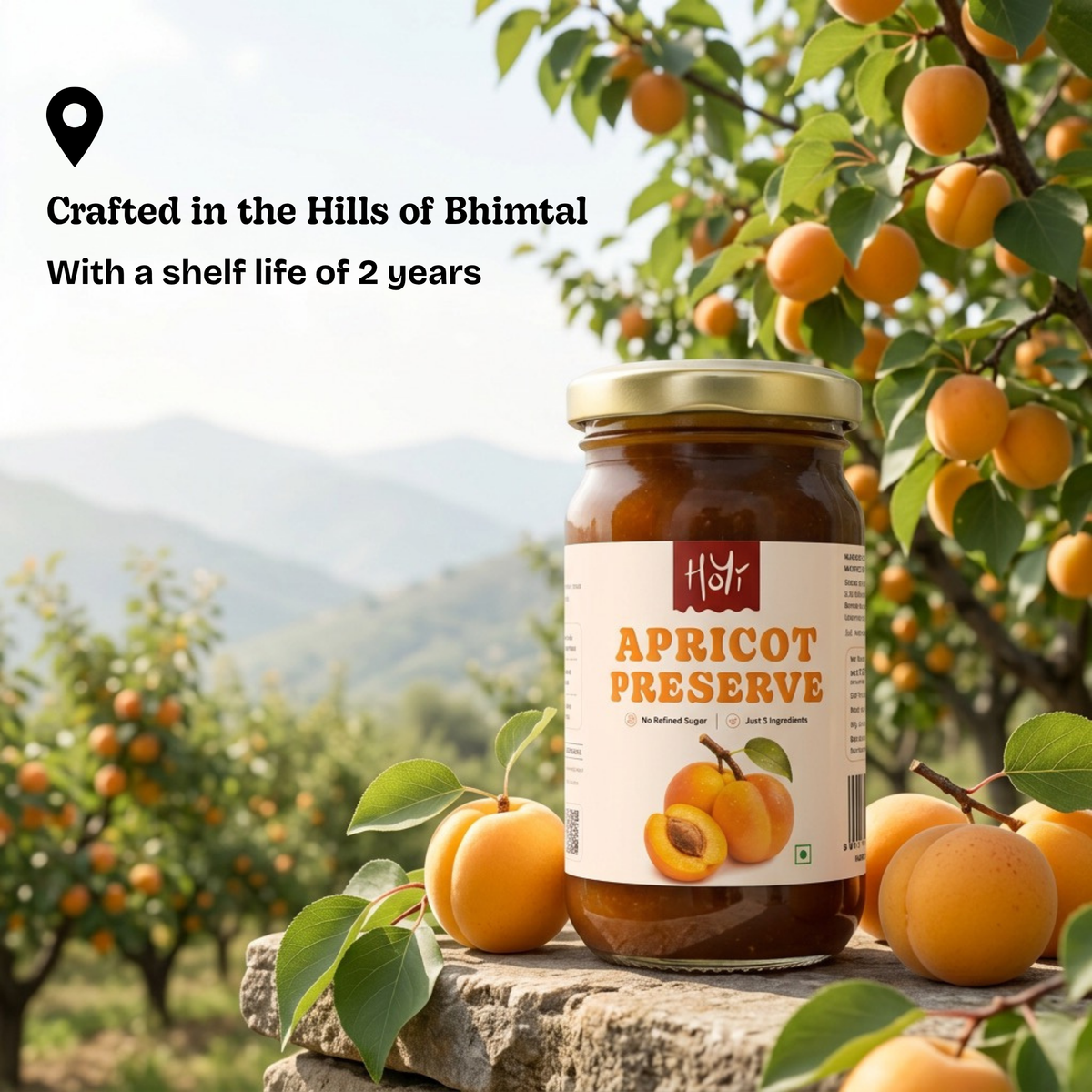 Apricot Preserve - Tart Himalayan Apricots