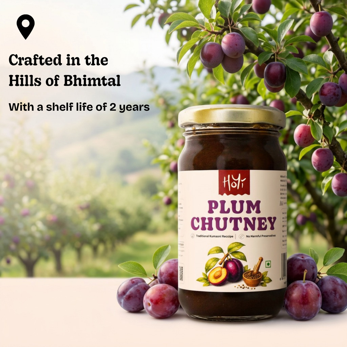Plum Chutney - Kumaoni Recipe, Sweet and Spicy